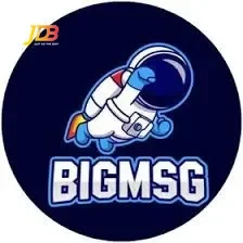 Logo bigmsg